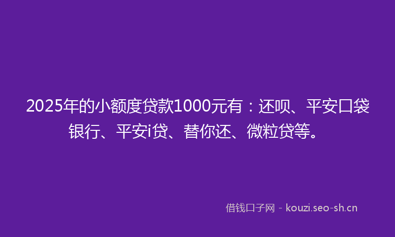 2025年的小额度贷款1000元有：还呗、平安口袋银行、平安i贷、替你还、微粒贷等。