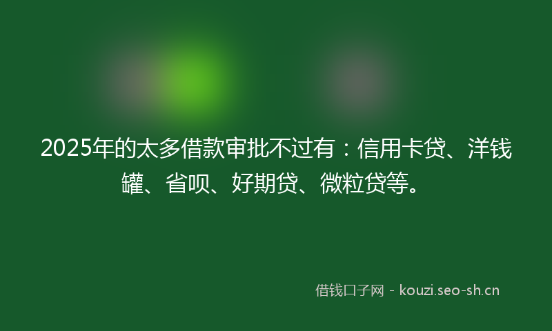 2025年的太多借款审批不过有：信用卡贷、洋钱罐、省呗、好期贷、微粒贷等。