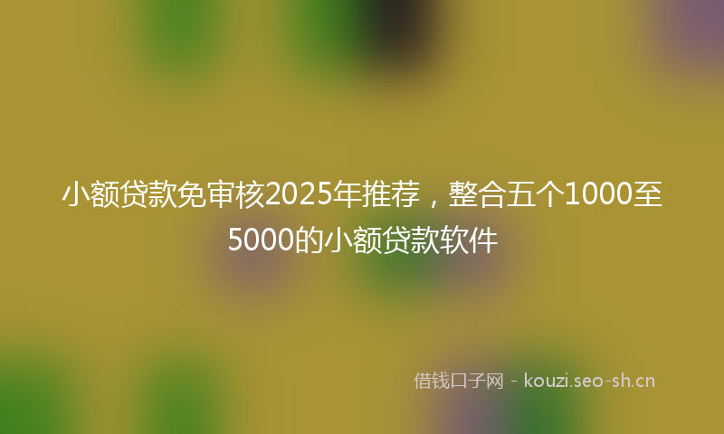 小额贷款免审核2025年推荐，整合五个1000至5000的小额贷款软件