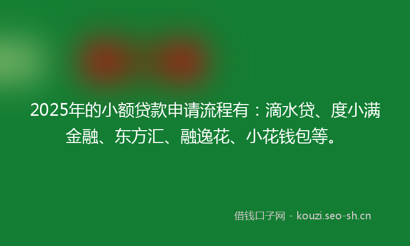 2025年的小额贷款申请流程有：滴水贷、度小满金融、东方汇、融逸花、小花钱包等。