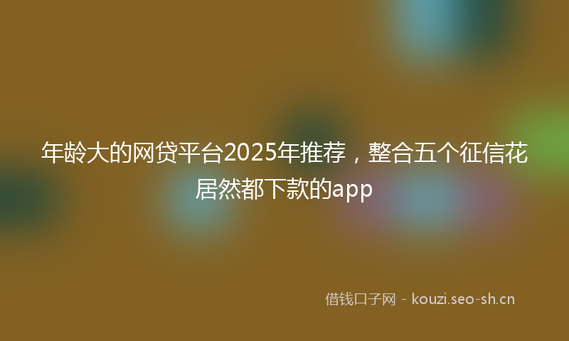 年龄大的网贷平台2025年推荐，整合五个征信花居然都下款的app