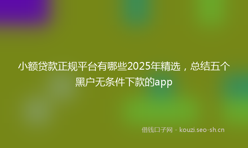 小额贷款正规平台有哪些2025年精选，总结五个黑户无条件下款的app