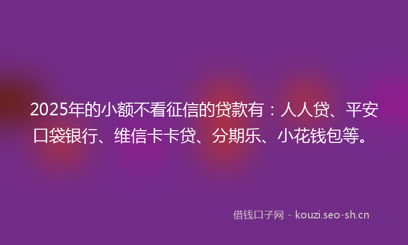 2025年的小额不看征信的贷款有：人人贷、平安口袋银行、维信卡卡贷、分期乐、小花钱包等。