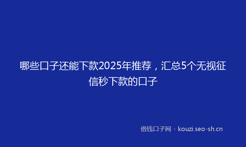哪些口子还能下款2025年推荐，汇总5个无视征信秒下款的口子