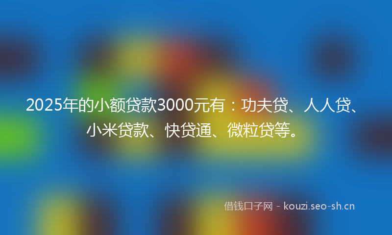 2025年的小额贷款3000元有：功夫贷、人人贷、小米贷款、快贷通、微粒贷等。