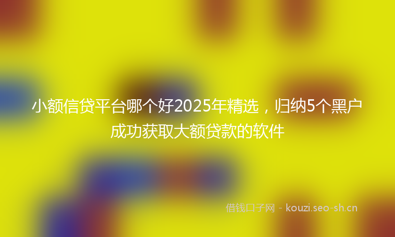 小额信贷平台哪个好2025年精选，归纳5个黑户成功获取大额贷款的软件