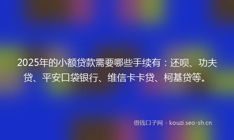 2025年的小额贷款需要哪些手续有：还呗、功夫贷、平安口袋银行、维信卡卡贷、柯基贷等。
