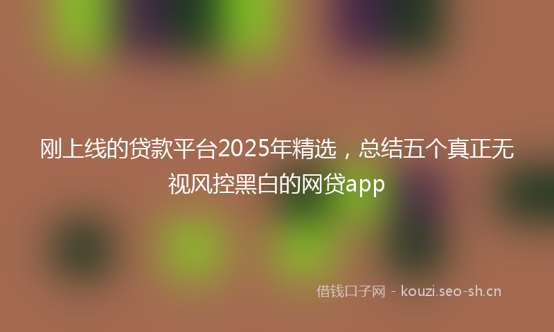 刚上线的贷款平台2025年精选，总结五个真正无视风控黑白的网贷app