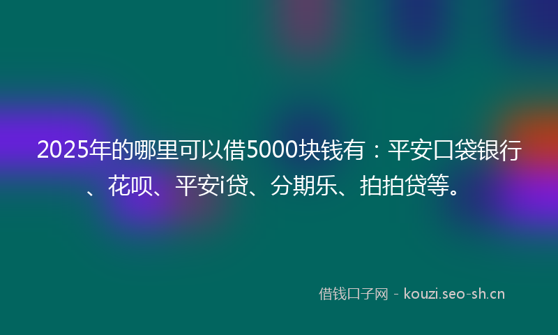 2025年的哪里可以借5000块钱有：平安口袋银行、花呗、平安i贷、分期乐、拍拍贷等。
