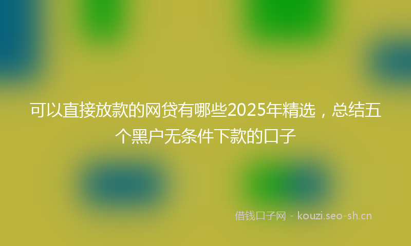 可以直接放款的网贷有哪些2025年精选，总结五个黑户无条件下款的口子