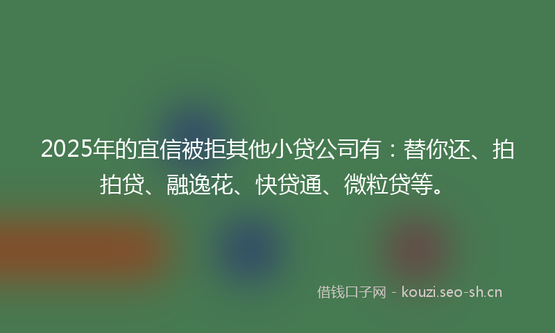 2025年的宜信被拒其他小贷公司有：替你还、拍拍贷、融逸花、快贷通、微粒贷等。