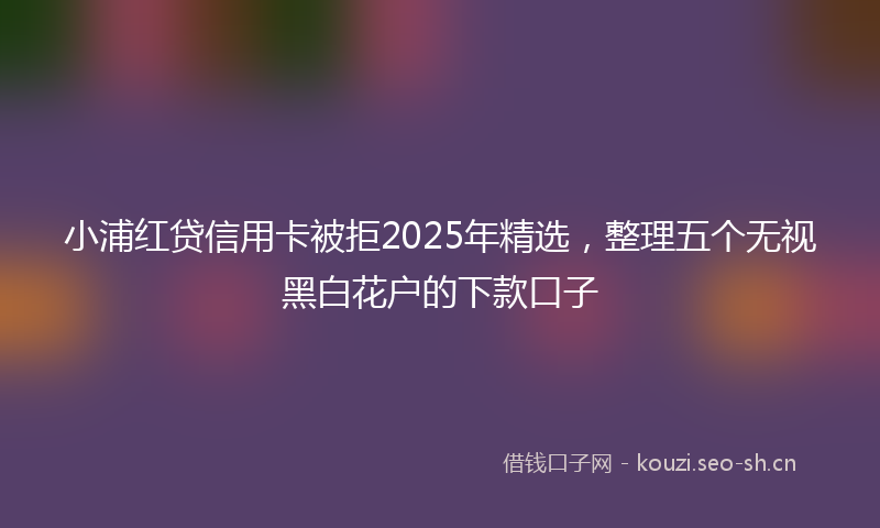 小浦红贷信用卡被拒2025年精选，整理五个无视黑白花户的下款口子