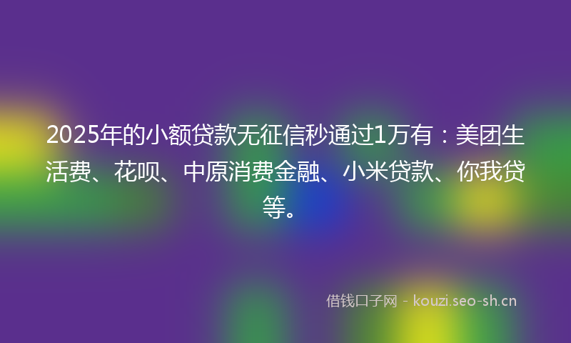 2025年的小额贷款无征信秒通过1万有：美团生活费、花呗、中原消费金融、小米贷款、你我贷等。