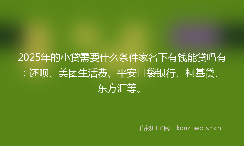 2025年的小贷需要什么条件家名下有钱能贷吗有：还呗、美团生活费、平安口袋银行、柯基贷、东方汇等。