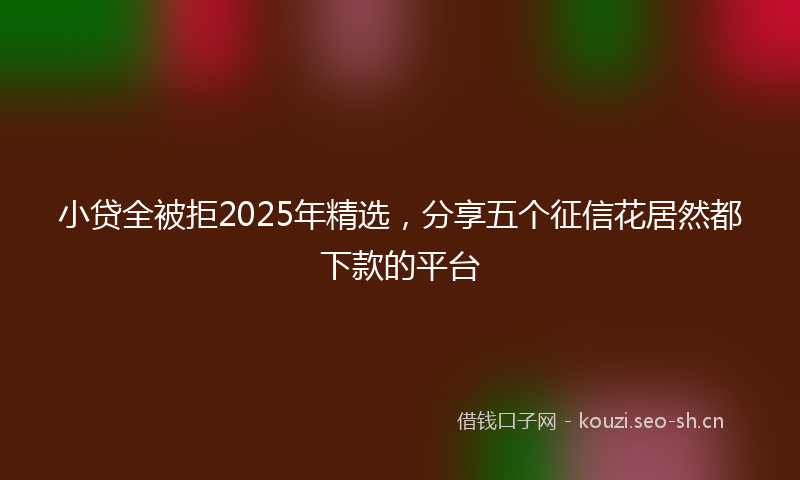 小贷全被拒2025年精选，分享五个征信花居然都下款的平台