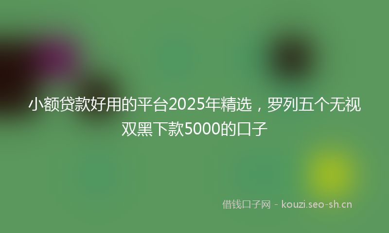 小额贷款好用的平台2025年精选，罗列五个无视双黑下款5000的口子