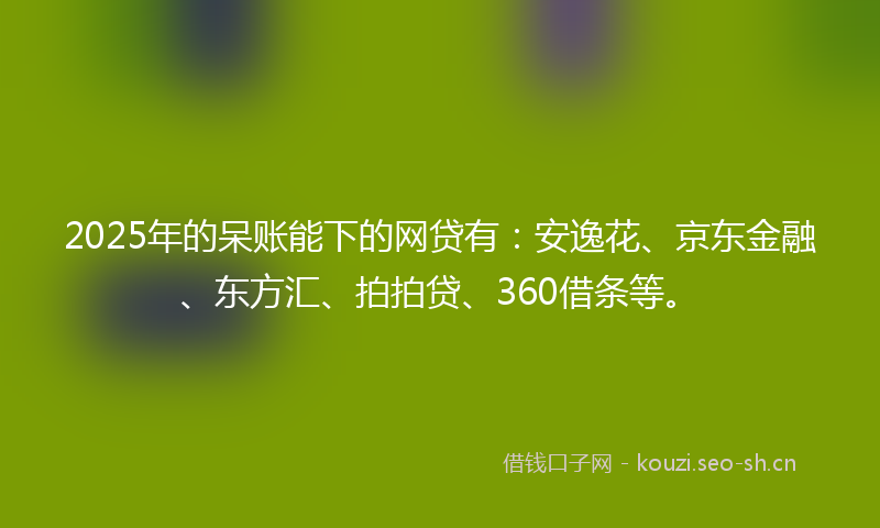 2025年的呆账能下的网贷有：安逸花、京东金融、东方汇、拍拍贷、360借条等。