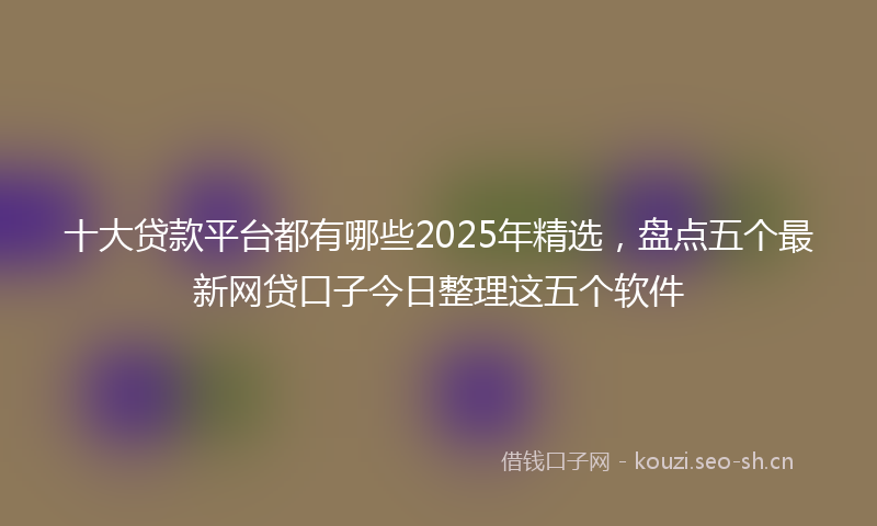 十大贷款平台都有哪些2025年精选，盘点五个最新网贷口子今日整理这五个软件
