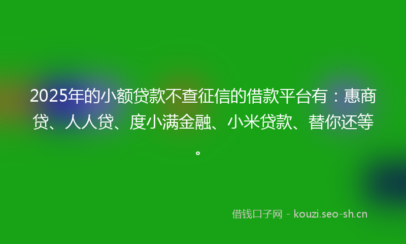 2025年的小额贷款不查征信的借款平台有：惠商贷、人人贷、度小满金融、小米贷款、替你还等。