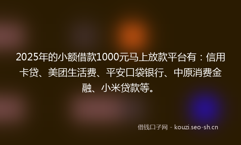 2025年的小额借款1000元马上放款平台有：信用卡贷、美团生活费、平安口袋银行、中原消费金融、小米贷款等。
