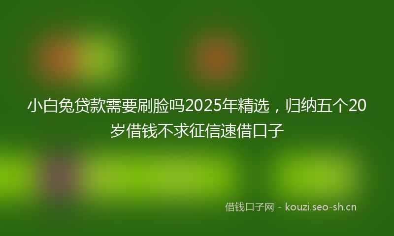 小白兔贷款需要刷脸吗2025年精选，归纳五个20岁借钱不求征信速借口子