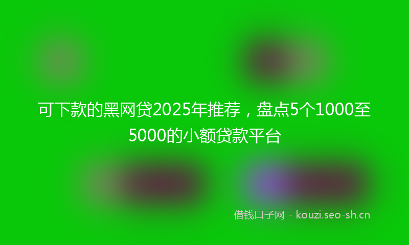可下款的黑网贷2025年推荐，盘点5个1000至5000的小额贷款平台