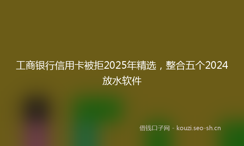 工商银行信用卡被拒2025年精选，整合五个2024放水软件