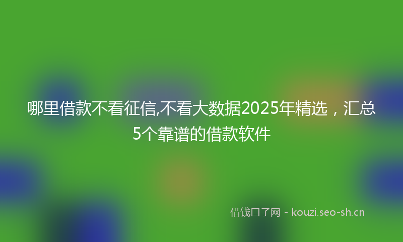 哪里借款不看征信,不看大数据2025年精选，汇总5个靠谱的借款软件
