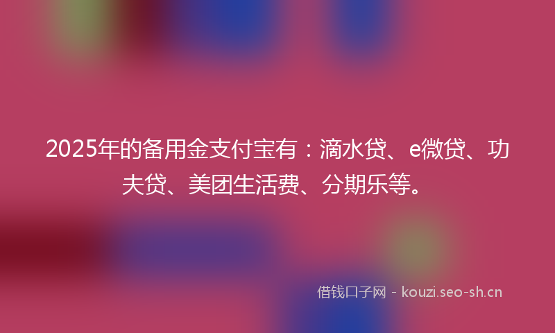 2025年的备用金支付宝有：滴水贷、e微贷、功夫贷、美团生活费、分期乐等。