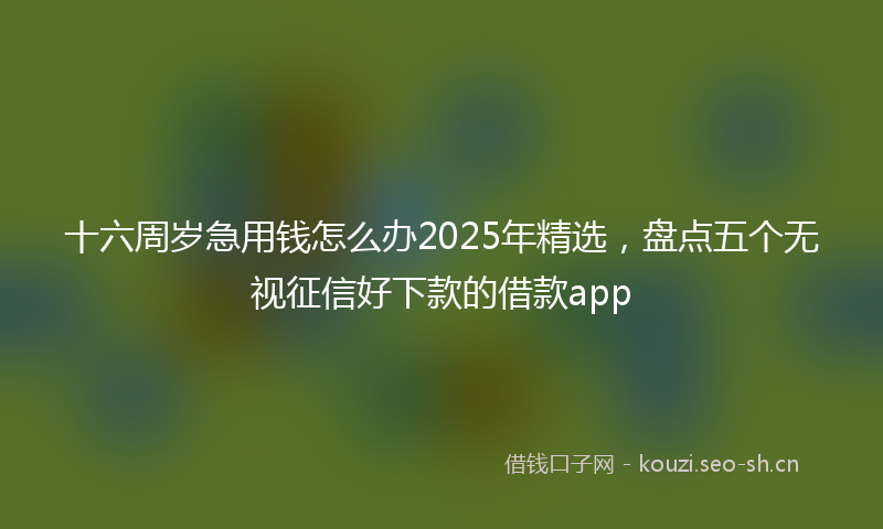 十六周岁急用钱怎么办2025年精选，盘点五个无视征信好下款的借款app