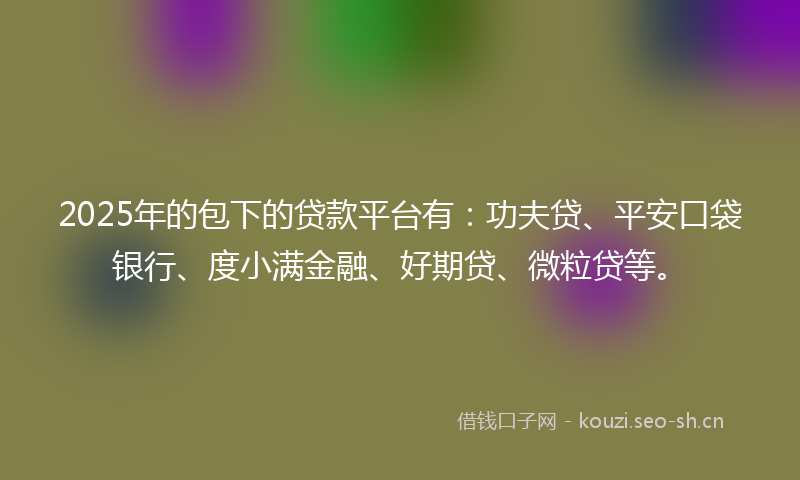 2025年的包下的贷款平台有：功夫贷、平安口袋银行、度小满金融、好期贷、微粒贷等。