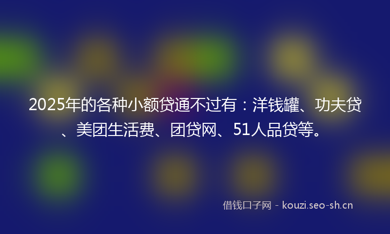 2025年的各种小额贷通不过有：洋钱罐、功夫贷、美团生活费、团贷网、51人品贷等。