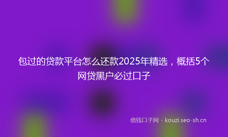 包过的贷款平台怎么还款2025年精选，概括5个网贷黑户必过口子