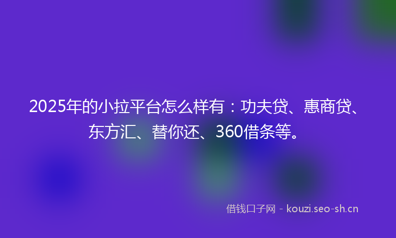 2025年的小拉平台怎么样有：功夫贷、惠商贷、东方汇、替你还、360借条等。
