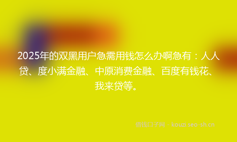 2025年的双黑用户急需用钱怎么办啊急有：人人贷、度小满金融、中原消费金融、百度有钱花、我来贷等。