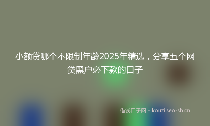 小额贷哪个不限制年龄2025年精选，分享五个网贷黑户必下款的口子