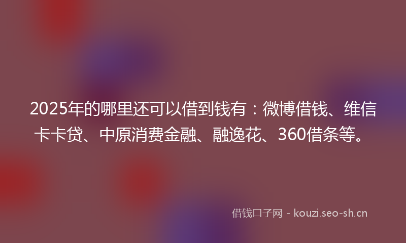 2025年的哪里还可以借到钱有：微博借钱、维信卡卡贷、中原消费金融、融逸花、360借条等。