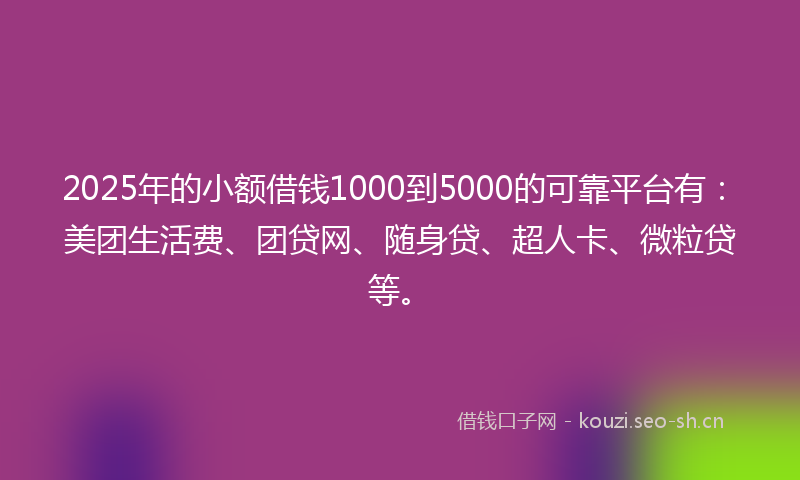 2025年的小额借钱1000到5000的可靠平台有：美团生活费、团贷网、随身贷、超人卡、微粒贷等。