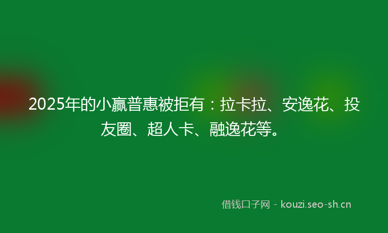 2025年的小赢普惠被拒有：拉卡拉、安逸花、投友圈、超人卡、融逸花等。