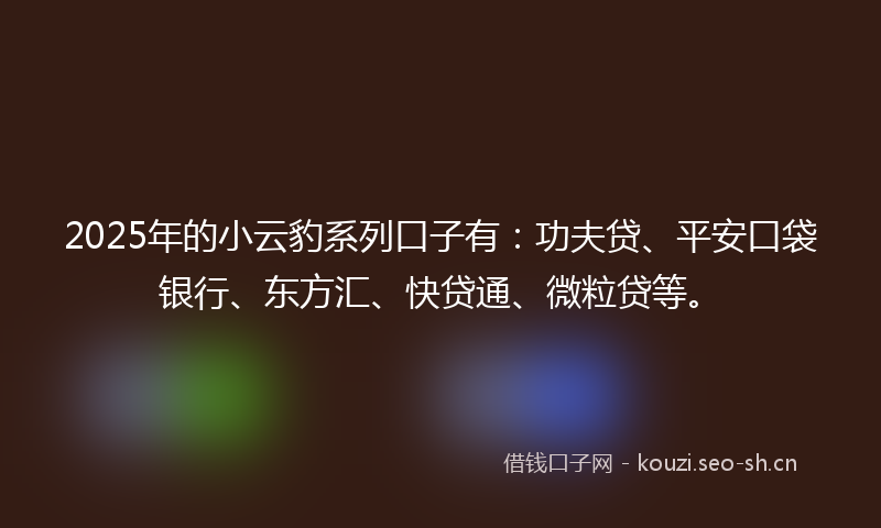 2025年的小云豹系列口子有：功夫贷、平安口袋银行、东方汇、快贷通、微粒贷等。
