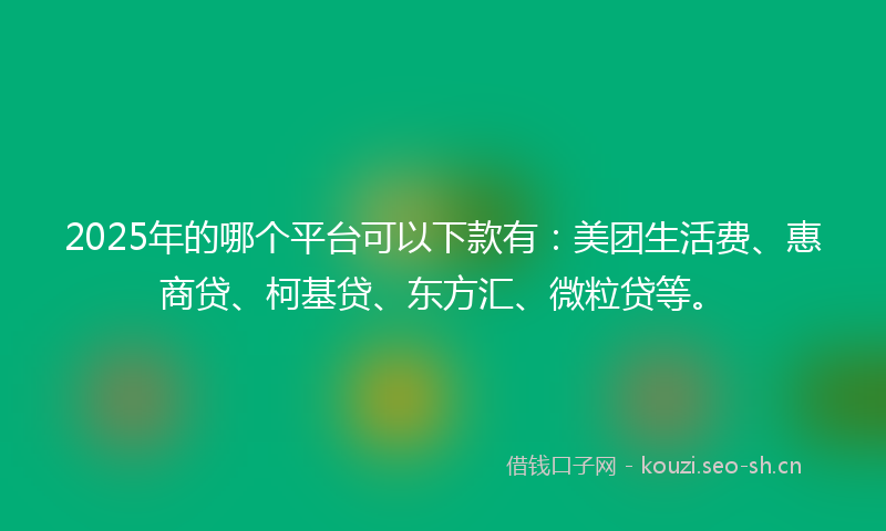 2025年的哪个平台可以下款有：美团生活费、惠商贷、柯基贷、东方汇、微粒贷等。
