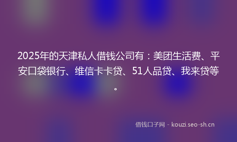 2025年的天津私人借钱公司有：美团生活费、平安口袋银行、维信卡卡贷、51人品贷、我来贷等。