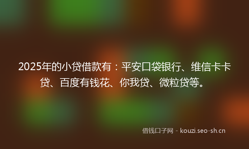 2025年的小贷借款有：平安口袋银行、维信卡卡贷、百度有钱花、你我贷、微粒贷等。