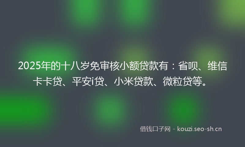 2025年的十八岁免审核小额贷款有：省呗、维信卡卡贷、平安i贷、小米贷款、微粒贷等。