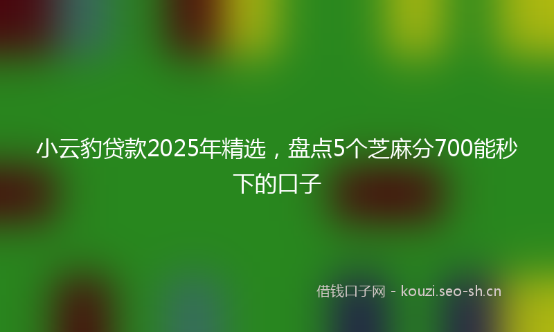 小云豹贷款2025年精选，盘点5个芝麻分700能秒下的口子