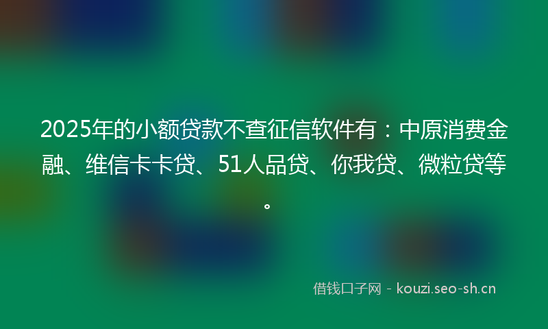 2025年的小额贷款不查征信软件有：中原消费金融、维信卡卡贷、51人品贷、你我贷、微粒贷等。