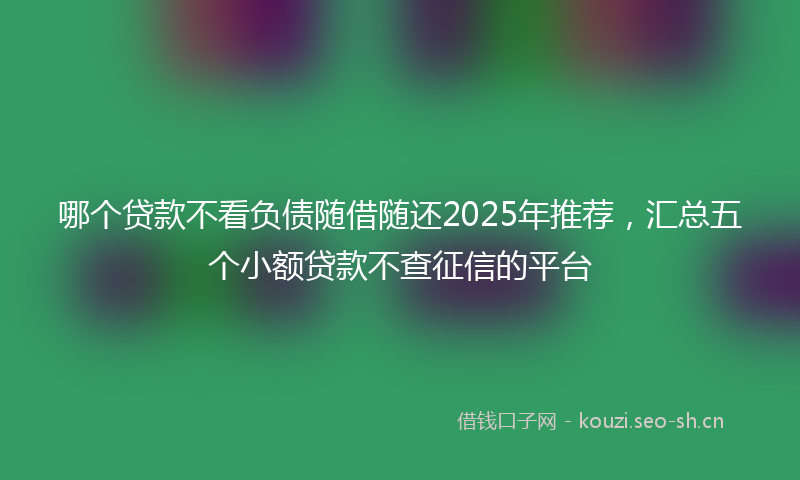 哪个贷款不看负债随借随还2025年推荐，汇总五个小额贷款不查征信的平台