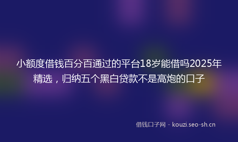 小额度借钱百分百通过的平台18岁能借吗2025年精选，归纳五个黑白贷款不是高炮的口子