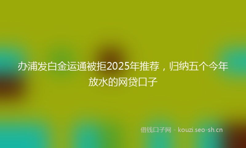 办浦发白金运通被拒2025年推荐，归纳五个今年放水的网贷口子