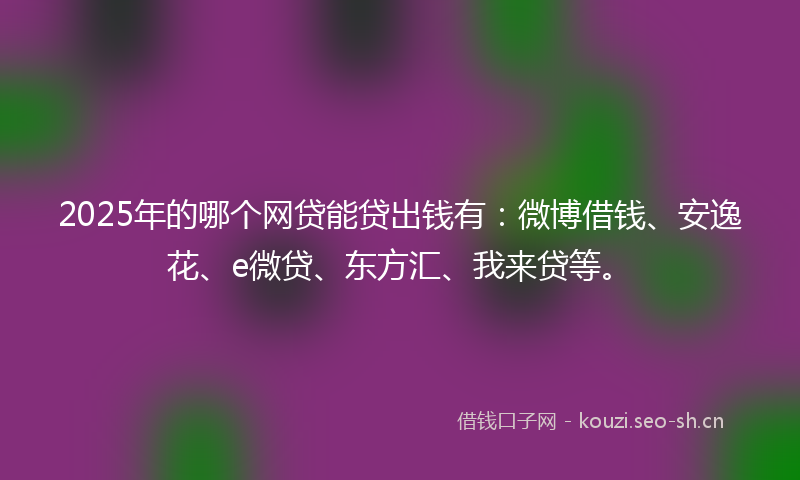 2025年的哪个网贷能贷出钱有：微博借钱、安逸花、e微贷、东方汇、我来贷等。